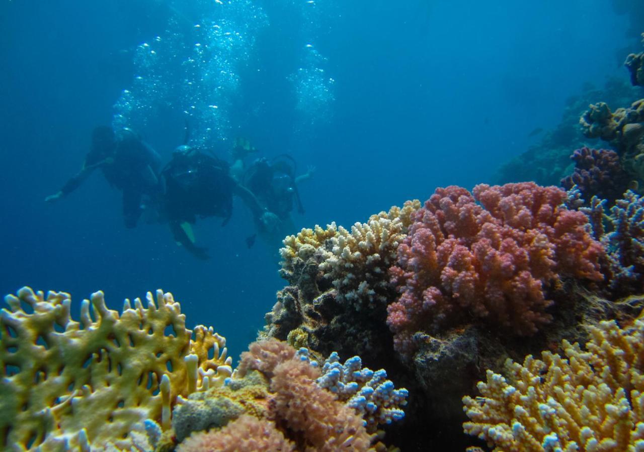 Melio Hotel Eilat Kültér fotó
